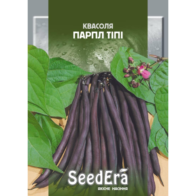 Квасоля Спаржева Кущова Парпл Тіпі 20г, Seedera