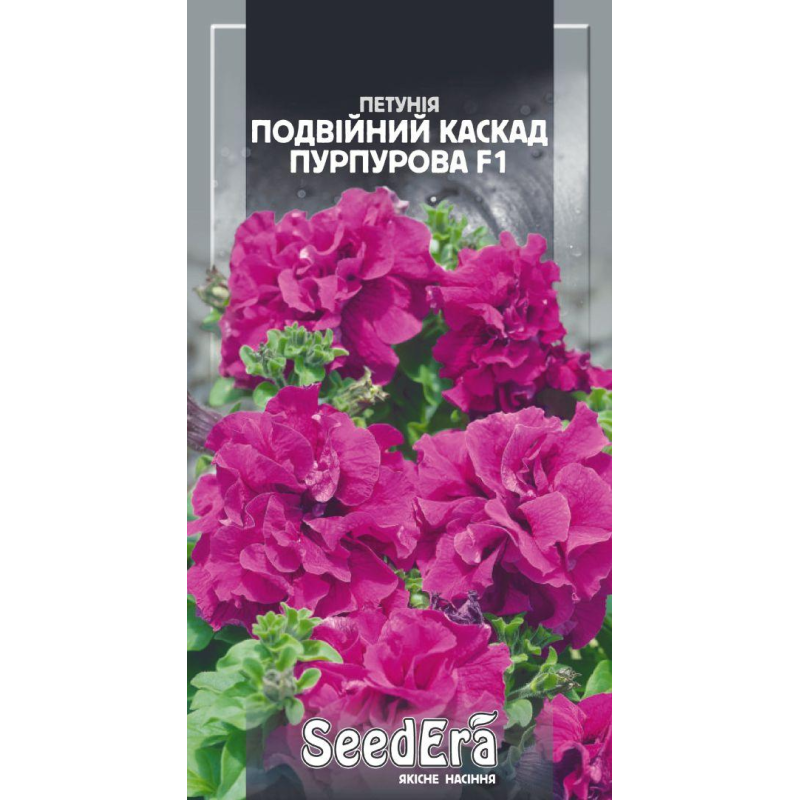 Петунія Бахромчаста Великоквіткова Низькоросла Подвійний Каскад Пурпурова F1 10шт, Seedera
