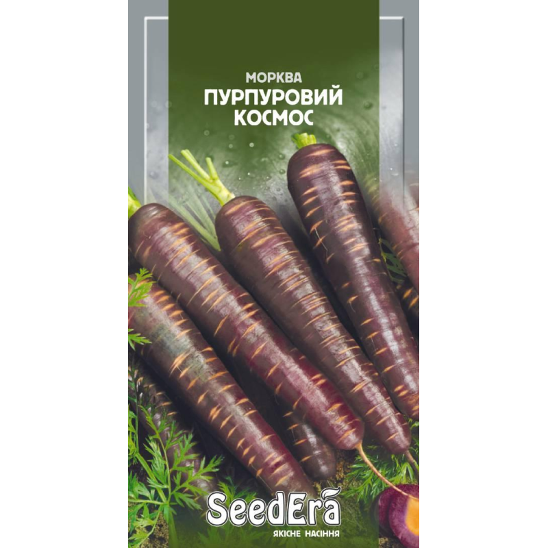 Морква Столова Пурпуровий Космос 100шт, Seedera