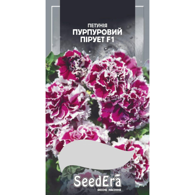 Петунія Бахромчаста Великоквіткова Низькоросла Пурпуровий Пірует F1, 10шт, Seedera