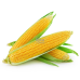 Кукурудза Цукрова ОВЕРЛЕНД F1, 3г, Syngenta Seeds B.V., Нідерланди
