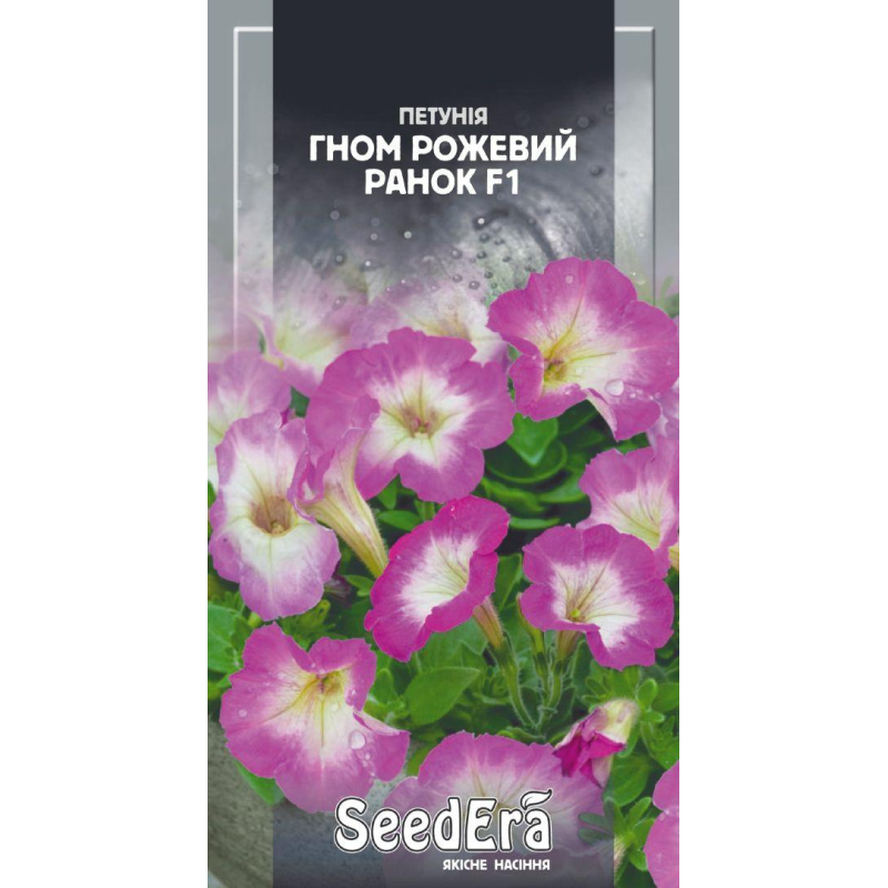 Петунія Гном Рожевий Ранок F1 10шт, Седера
