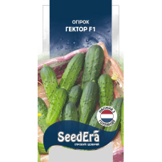 Насіння Огірок Гектор F1, 20шт, Seedera