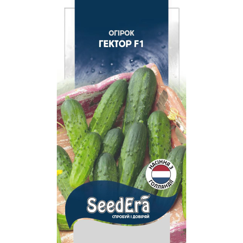 Насіння Огірок Гектор F1, 20шт, Seedera
