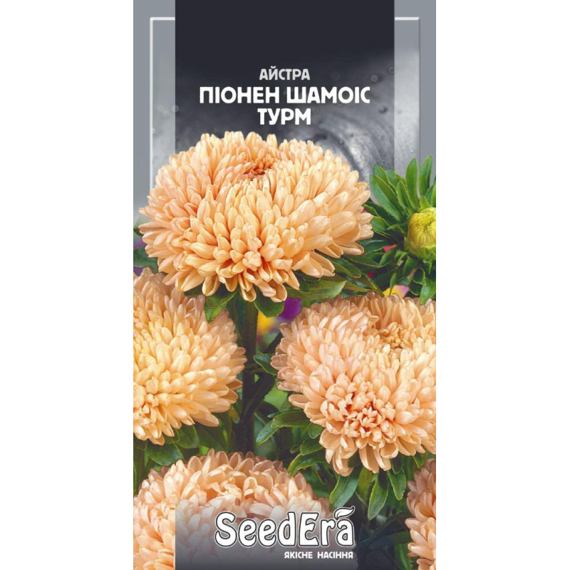 Насіння Айстра Високоросла Піонен Шамоіс Турм, 0,25 г