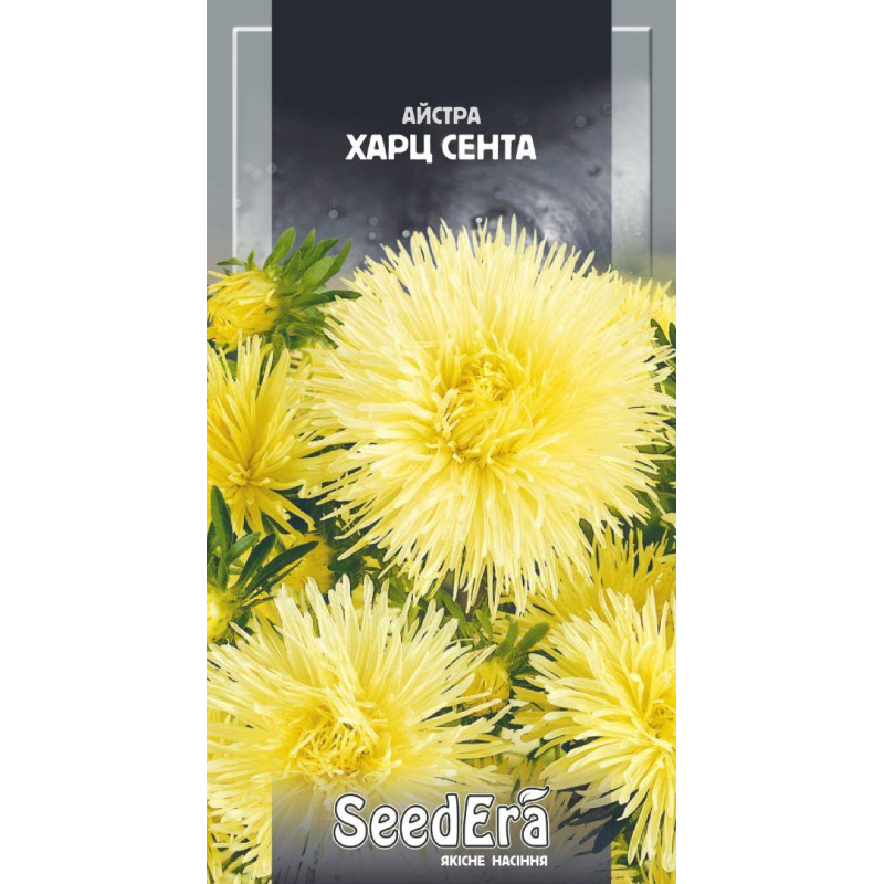 Насіння Айстри Харц Сента, 0,25 г
