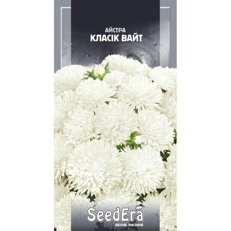 Айстра Низькоросла Класік Вайт, 0,25 г