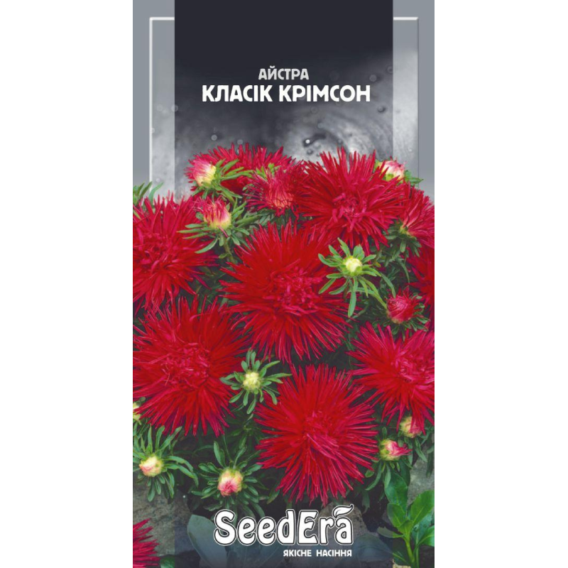 Насіння Айстра Низькоросла Класік Крімсон, 0,25 г