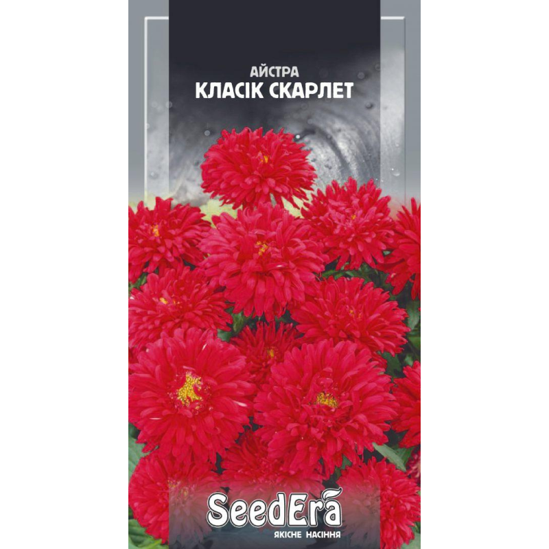 Насіння Астра Низькорого Класик Скарлет, 0,25 г