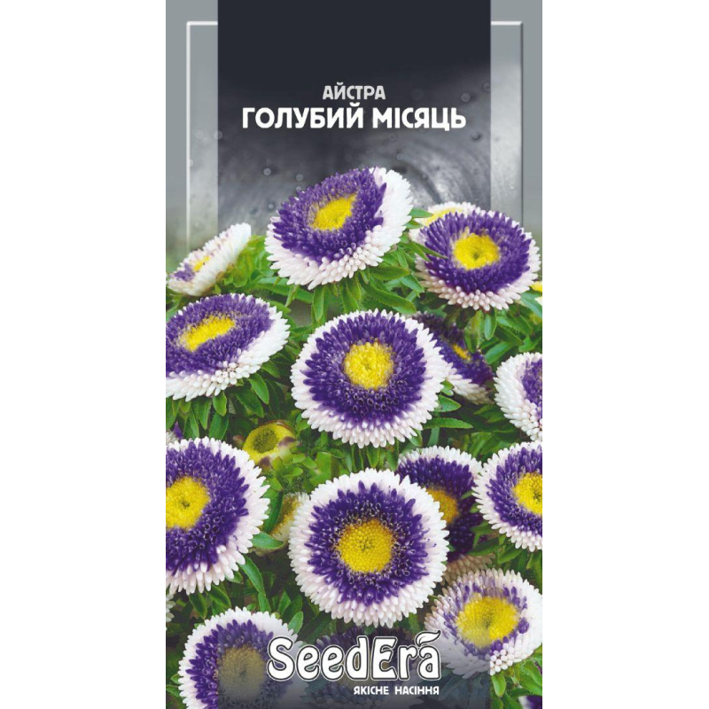 Айстра Середньоросла Голубий Місяць, 0,25 г