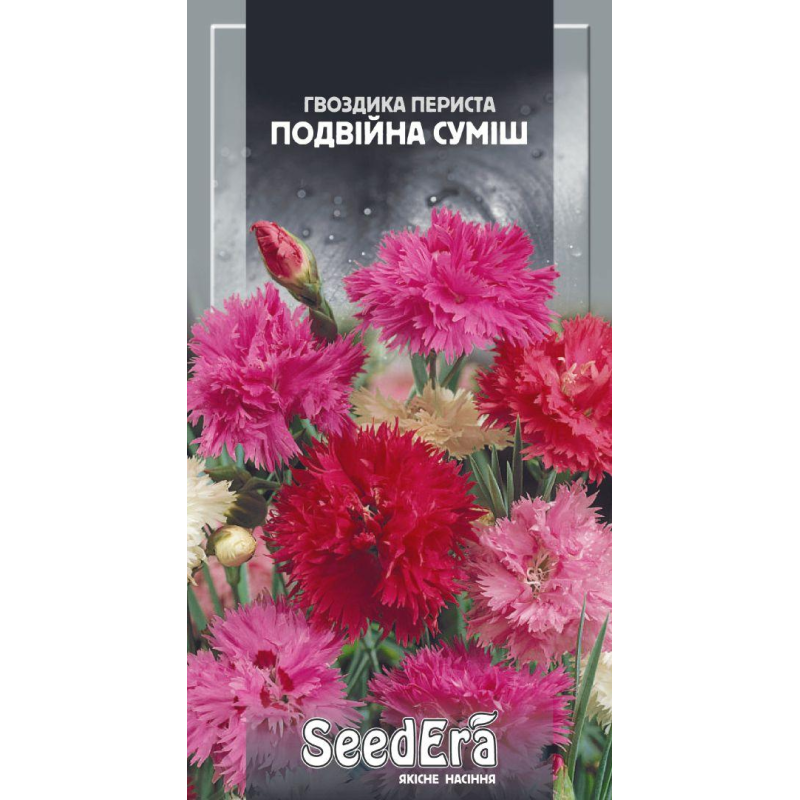 Насіння Гвоздика Периста подвійна суміш багаторічна, 0,2 г