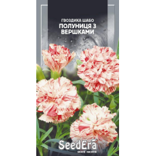 Насіння Гвоздика Шабо махрова Полуниця з вершками дворічна, 0,2 г