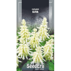Насіння Сальвія  біла блискуча, 0,1г, Seedera