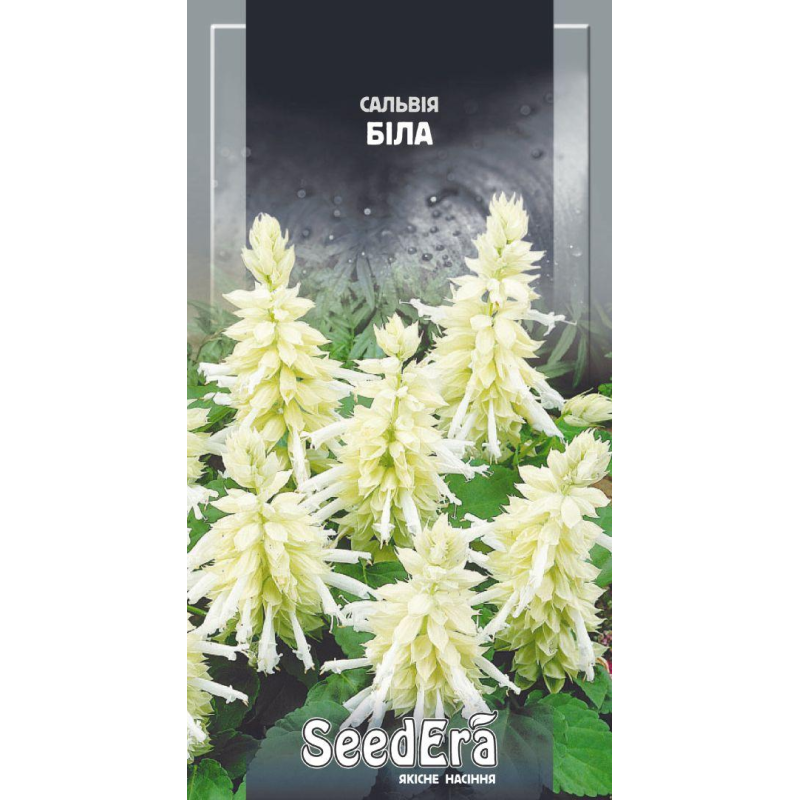 Насіння Сальвія  біла блискуча, 0,1г, Seedera