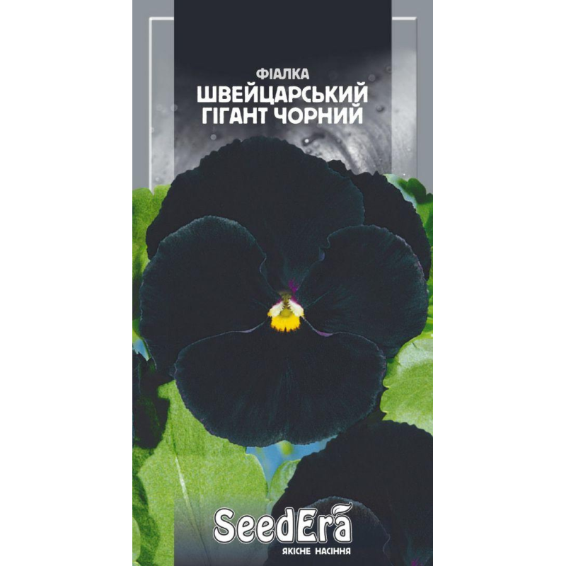 Насіння Фіалка Садова Дворічна Швейцарський Гігант Чорний, 0,1г, Seedera