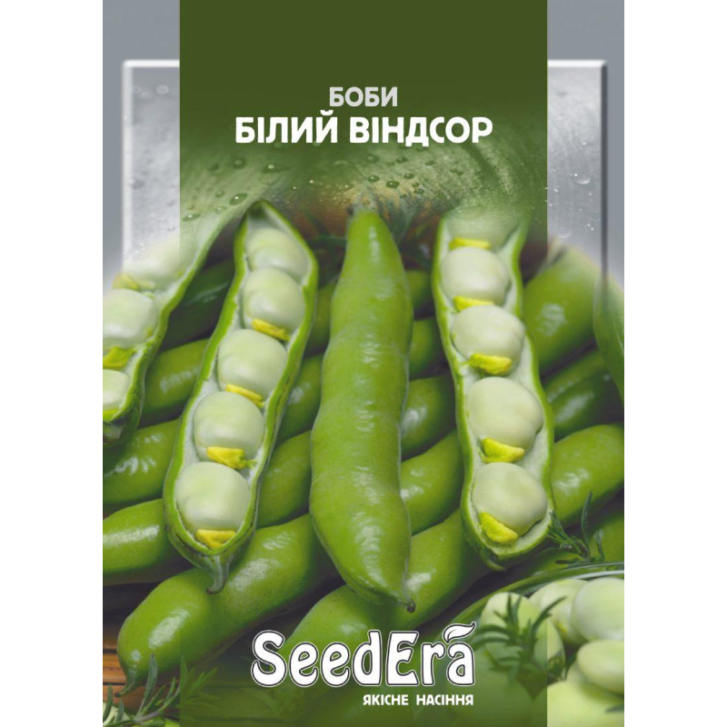 Насіння Боби Білий Віндсор, 10шт, Seedera
