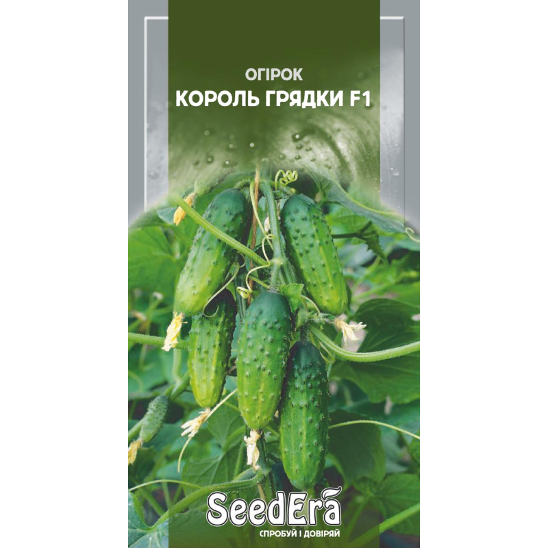 Насіння Огірок Король Грядки F1, 10шт, Седера