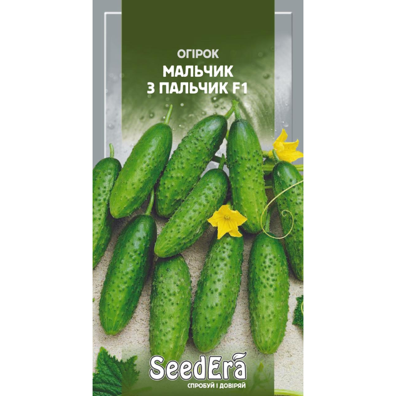 Насіння Огірок Мальчик З Пальчик F1, 10шт, Seedera