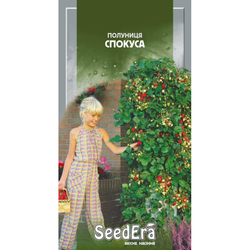 Насіння полуниця Спокуса, 0,01 г, Seedera
