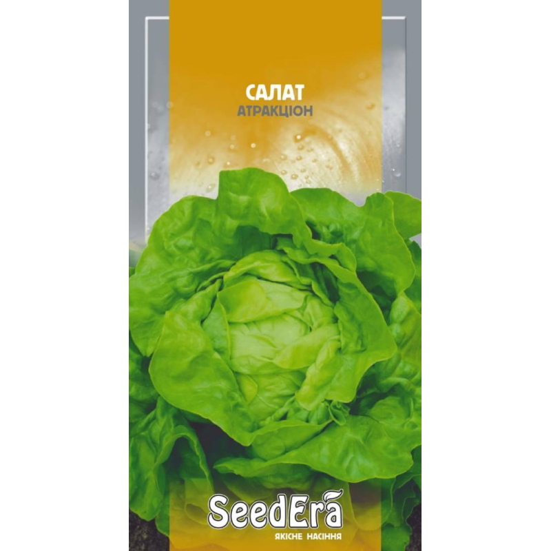 Насіння Салат Атракціон (кочаний зелений) 1г, Seedera