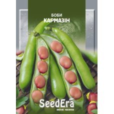 Насіння Боби Кармазін, 10шт, Seedera