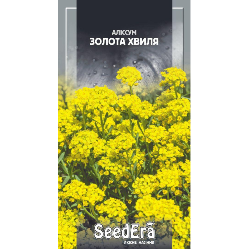 Насіння Аліссум Золота Хвиля 0,1 г, Seedera