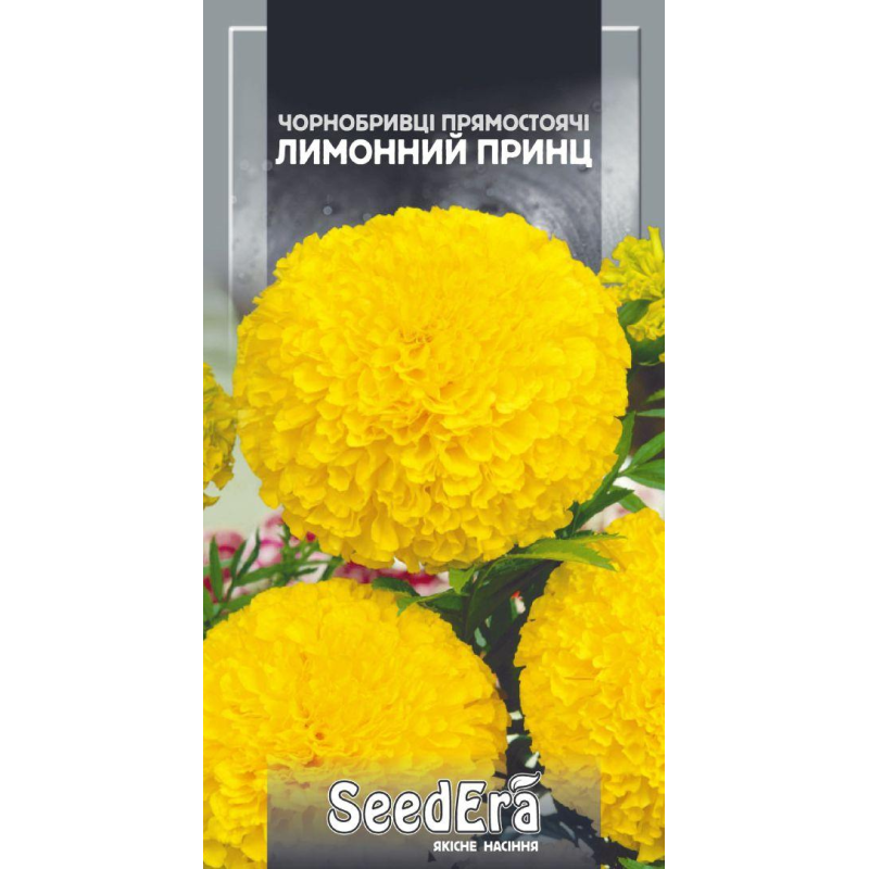 Насіння Чорнобривці Прямостоячі Лимонний Принц (Чорнобривці), 0,5 г, Seedera
