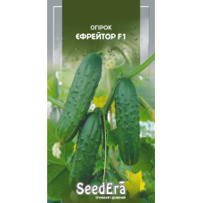Огірок Єфрейтор F1, 10шт, Seedera