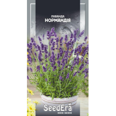 Лаванда Нормандія багаторічна 0,1г, Seedera