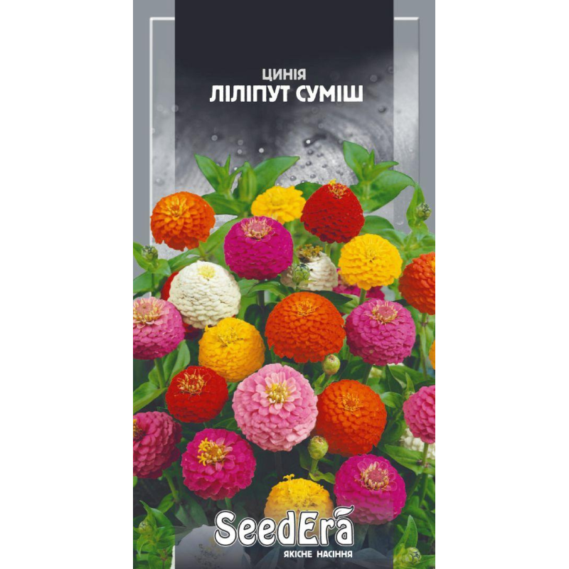 Цинія Ліліпут Суміш, 0,5г, Seedera