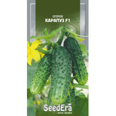 Насіння Огірок Карапуз F1 10шт, Seedera