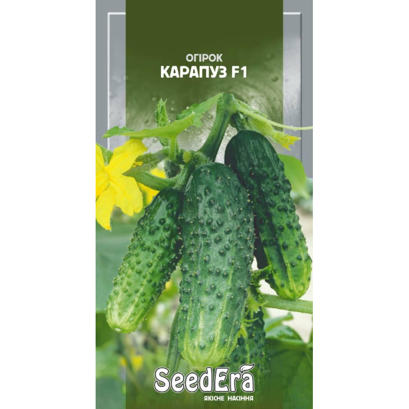 Насіння Огірок Карапуз F1 10шт, Seedera